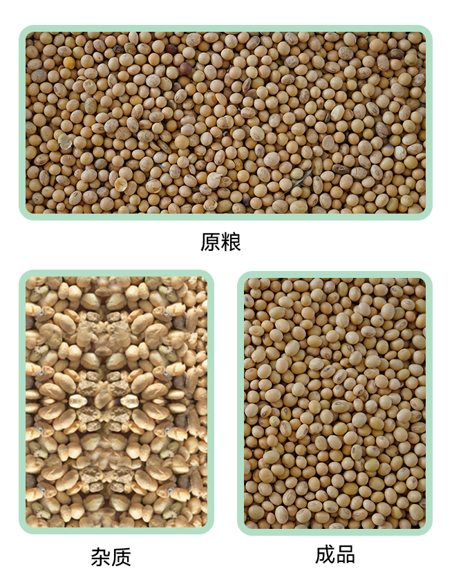 1769146667705283.jpg 5XZ-15小程序.jpg