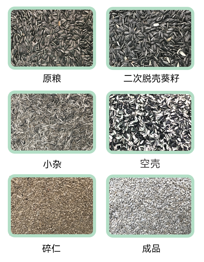 1769147501618408.jpg 葵花籽脫殼生產(chǎn)線小程序.jpg